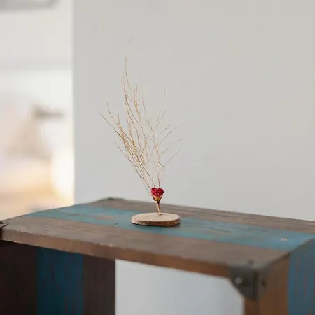 Apartment Heart Of In Bolhao By Homing